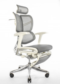 Эргономичное кресло Expert Fly RFYM 01-G (сетка серая/каркас серый с подножкой)