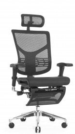 Эргономичное кресло Expert Star RSTM 01 (сетка черн/каркас черн с подножкой)
