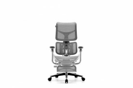 Эргономичные кресло FALTO SCALA с подножкой (Каркас светлый, сетка белый)