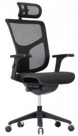 Эргономичное кресло Expert VISTA VSM01-BK (сетка черная / каркас черн)