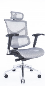 Эргономичное кресло Expert Sail ART SAS-M01 White (Сетка белая)