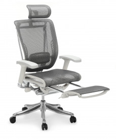 Эргономичное кресло Expert Spring RSPM 01-G (сетка сер/каркас сер с подножкой)