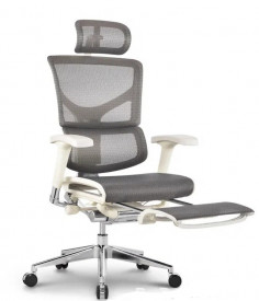Эргономичное кресло Expert Sail RSAM 01 (сетка серая/ каркас серый с подножкой)