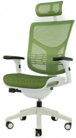 Эргономичное кресло Expert VISTA VSM01-Т-05 (Каркас белый / сетка зелёная)