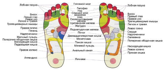 Массаж стоп картинки с описанием